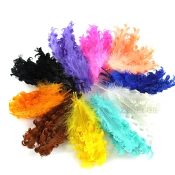 

Curled Goose Feathers Nagorie Inch 4-6 10-15cm natural color and dyed feathers for DIY Craft Jewelry Accessories