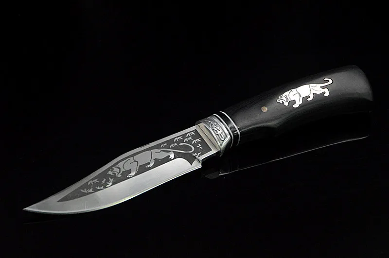 3747134652_939394238