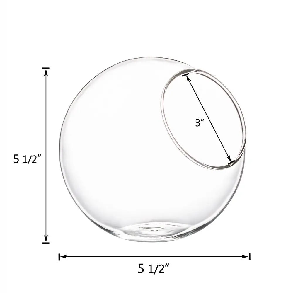 51CtZ+VbrQL._SL1000_