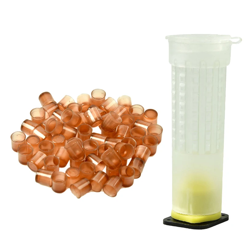 

DLKKLB Beekeeping Equipment Set Bee Queen Cell Cup 120pcs+queen Breeding Cage 5pcs Queen Cage Protection Cover Beekeeping Tool