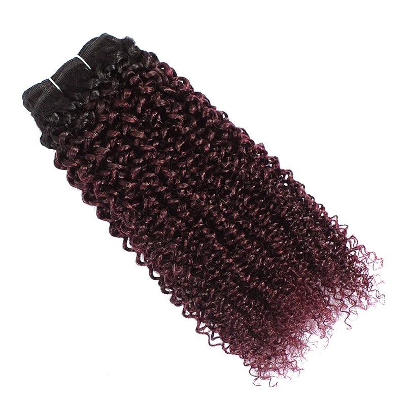 Grape Purple Peruvian Hair 3 Bundles With Closure Ombre Burgundy Human Hair Kinky Curly Bundles With Closure Non Remy Pinshair Grape Purple Peruvian Hair 3 Bundles With Closure Ombre Burgundy Human Hair Kinky Curly Bundles With Closure Non Remy Pinshair
