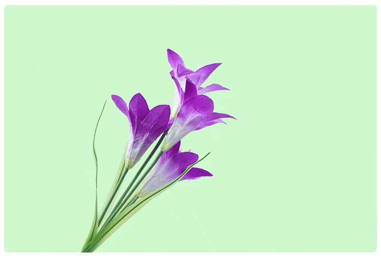 Solares do Bloco Flor do Lírio Solar da Iluminação da Paisagem do Diodo Emissor de Luz em Mudança da Multi-cor para Decorar o Caminho 2 com 8 Luzes Postas Luz 7 Luzes postas solares do bloco 2 com