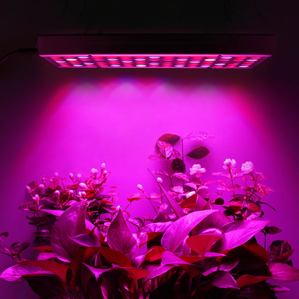Полный спектр светодиодный светать Фито лампы 75 светодиодный s SMD2835 для внутреннего палатка Теплицы гидропоники растений, произрастающих