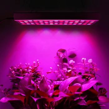 

Full Spectrum LED Grow Light Phyto Lamp 75 LEDs SMD2835 For Indoor Tent Greenhouses Hydroponics Plants Growing Flowering Seeding