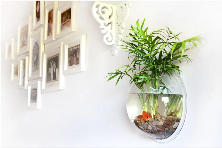 Fish Bowl LITRE FISH WALL MOUNTED BOWL AQUARIUM HANGING TANK