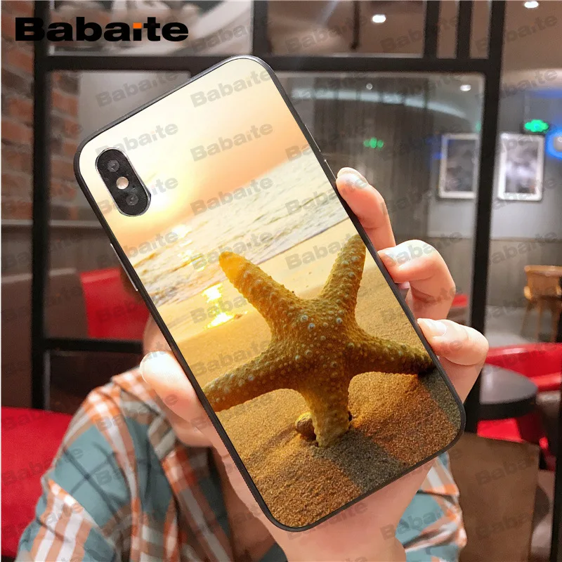 Beach Starfish Landscape