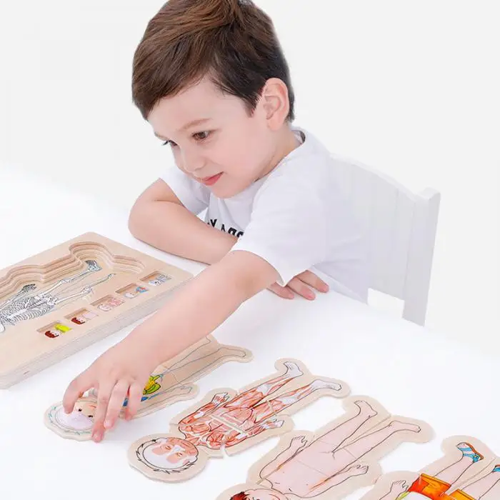 Деревянные Многослойные головоломки, структура человеческого тела, детские развивающие деревянные игрушки S7JN