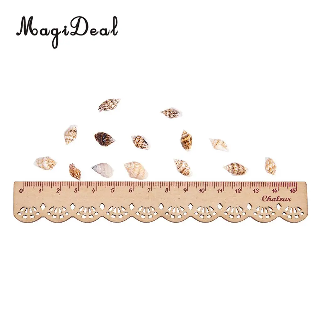 2 Box Multi Sea Shells Natural Conch Shells Beach Seashells, Colorful Assorted Accents for Candle Making Home Decorations