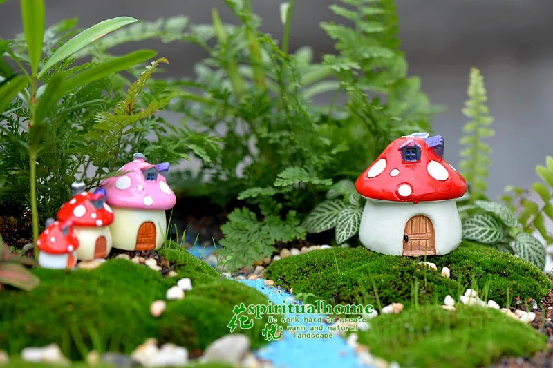 2507562643_393786582