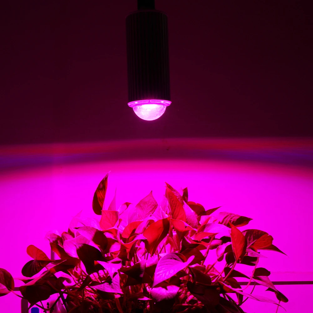 COB светодиодный Grow светильник Phytolamp Точечный для роста растений бесплатная