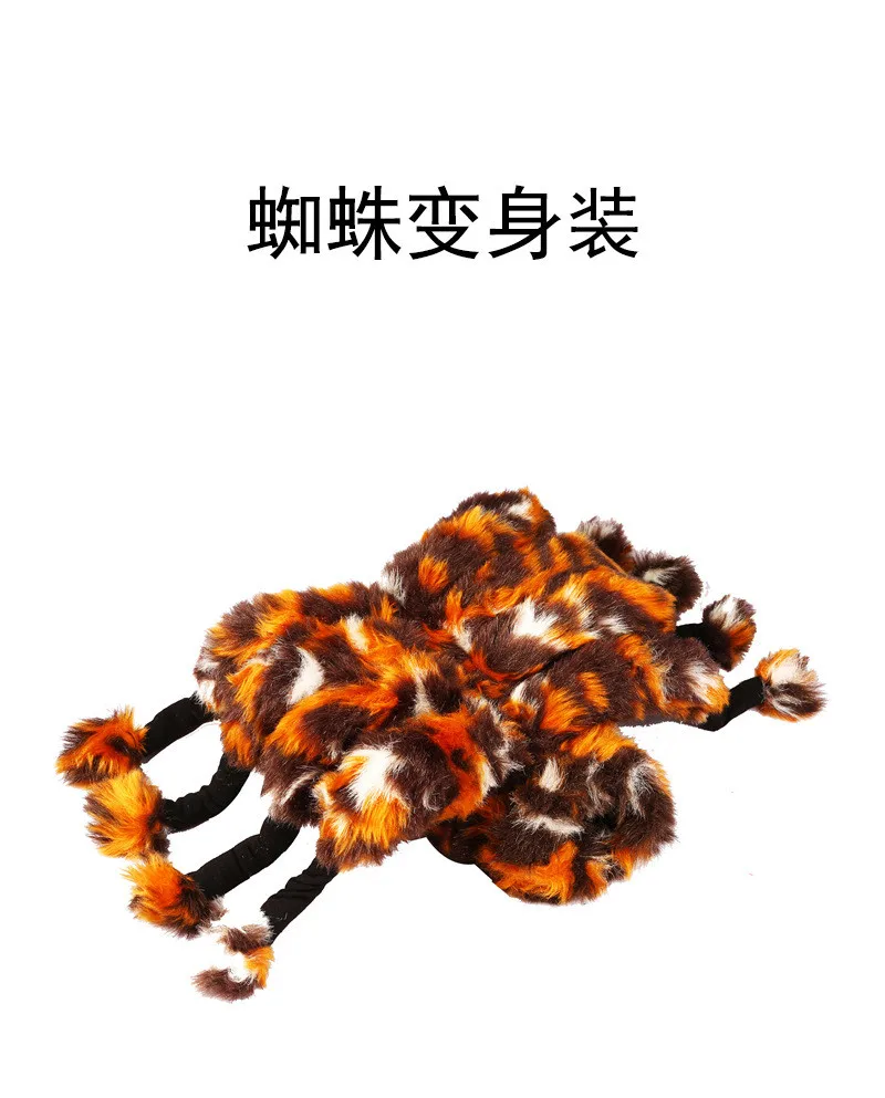 pet 07