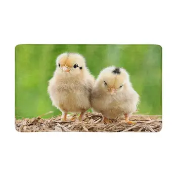 

Cute Babies Chicken Chicks Farm Animals Doormat Anti-Slip Entrance Mat Floor Rug Indoor Front Door Mats Home Decor