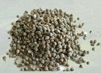 

Vitex Chasteberry Extract,(Agnus Castus) 900 mg, Chaste Berry Made In USA