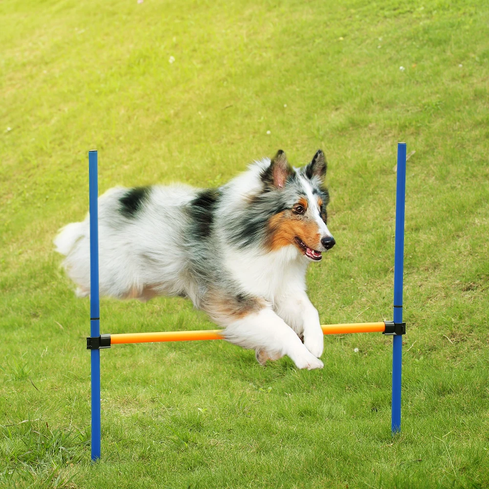 

Outdoor Pet Dog Training Hurdle Dog Sensitivity Sports Games Training Equipment Dogs Jump Hurdle Activity Exercise Pole Set