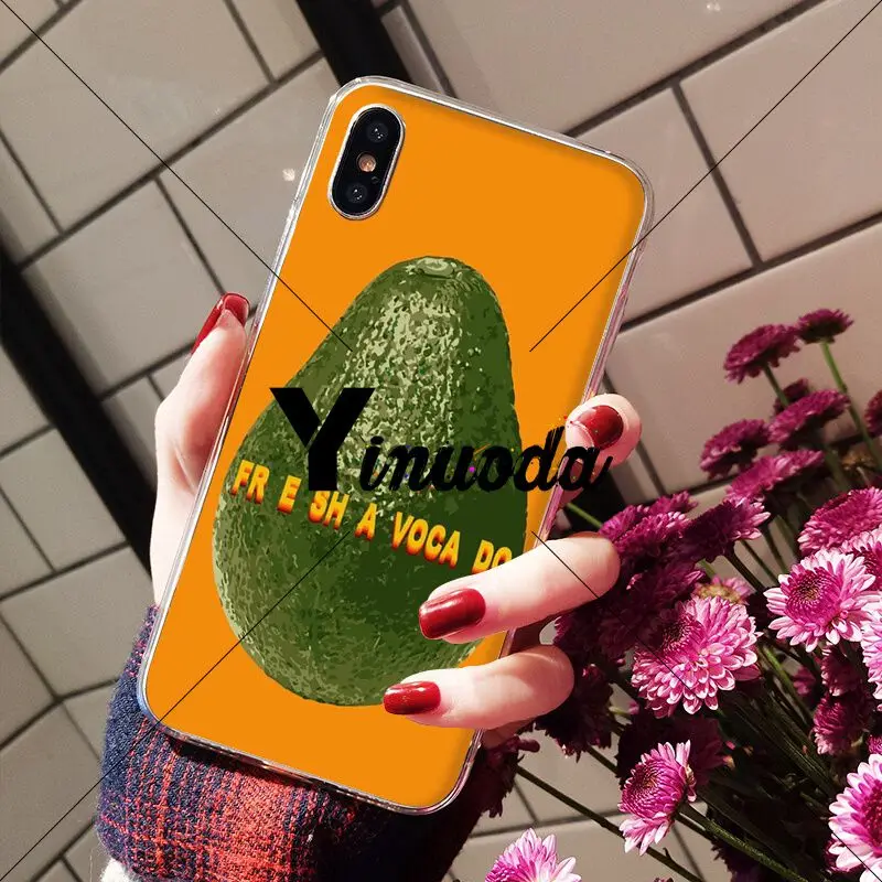 Art Funny Tumblr avocado