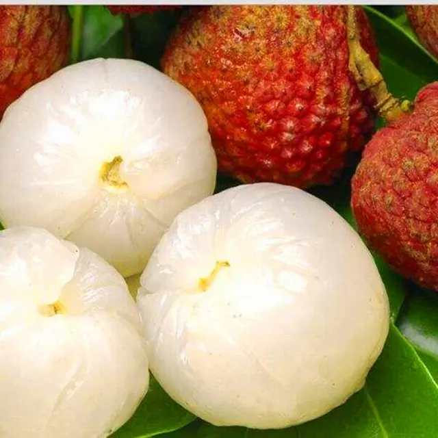 Litchi Seeds, Giant Lychee Seeds, 10pcs/pack