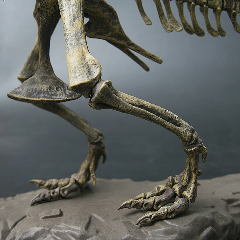 4D модель животных игрушки Моделирование большой динозавр окаменелый тираннозавр собрать скелет модель игрушки украшение дома