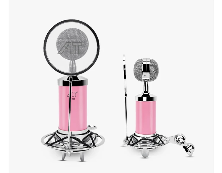 11-Single Microphone