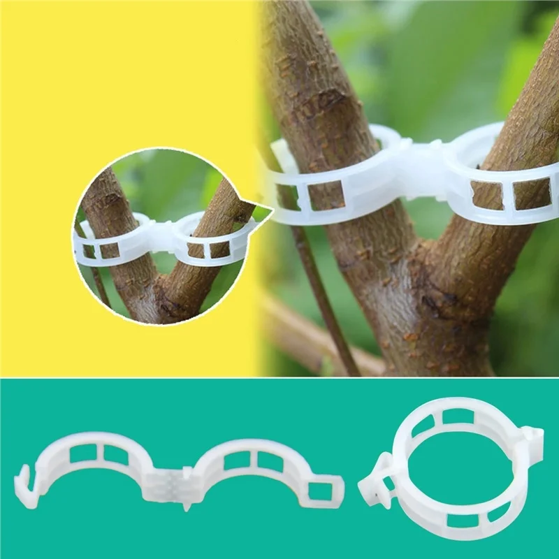 Plastic Plant Support Clips2