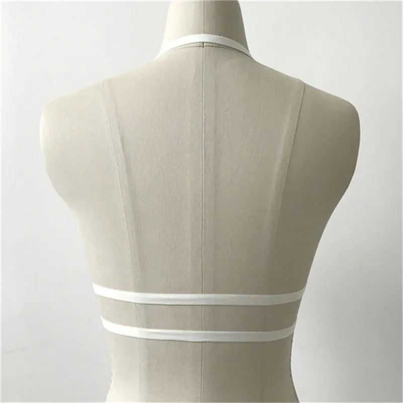 CWE0037T (4)