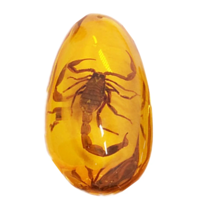 

Butterfly Scorpion Amber Antique Drop-shaped Pendant Beeswax Insect Specimen Amber Pendant Decoration Crafts For Antique Lovers