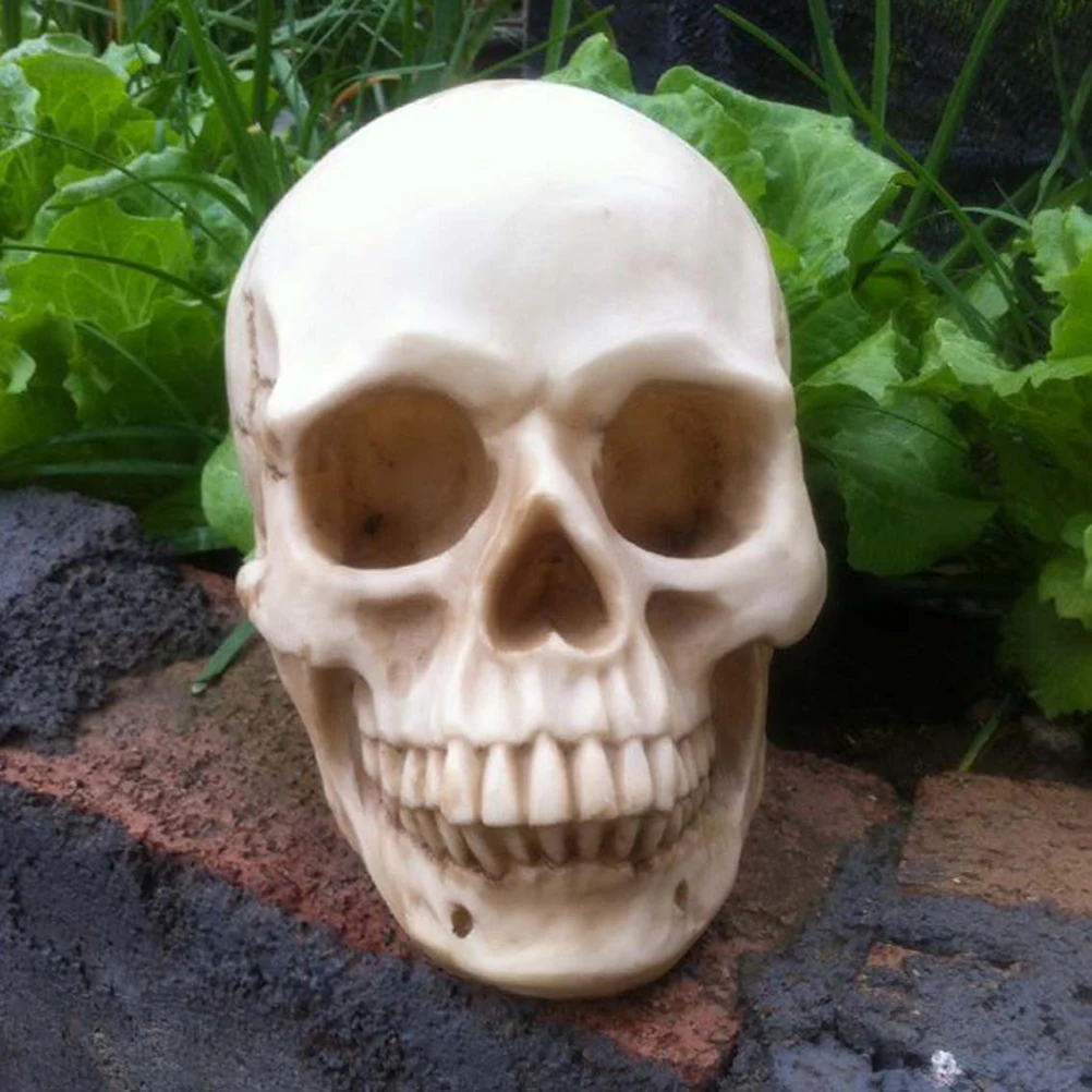 bucky skeleton human skull life size halloween props decorative craft skull home decoration crystal reiki - Cheap Halloween Props bucky skeleton human skull life size halloween props decorative craft skull home decoration crystal reiki - Cheap Halloween Props