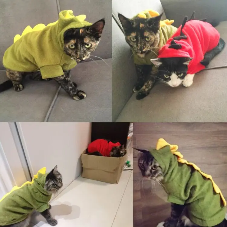 Одежда для кошек, костюм для собак, костюм забавного дракона, одежда для кошек, Рождественский костюм, одежда для кошек, Одежда для животных, пальто с капюшоном, Disfraz Perro 15S1