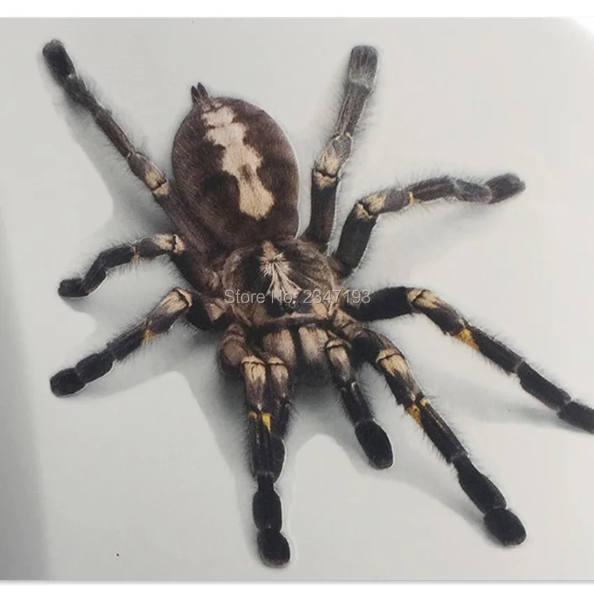 

Car 3D StickerS AND decal Scratch cover for Chevrolet Cruze Aveo Lacetti Captiva Cruz Niva Spark Orlando Epica Sail Sonic Lanos