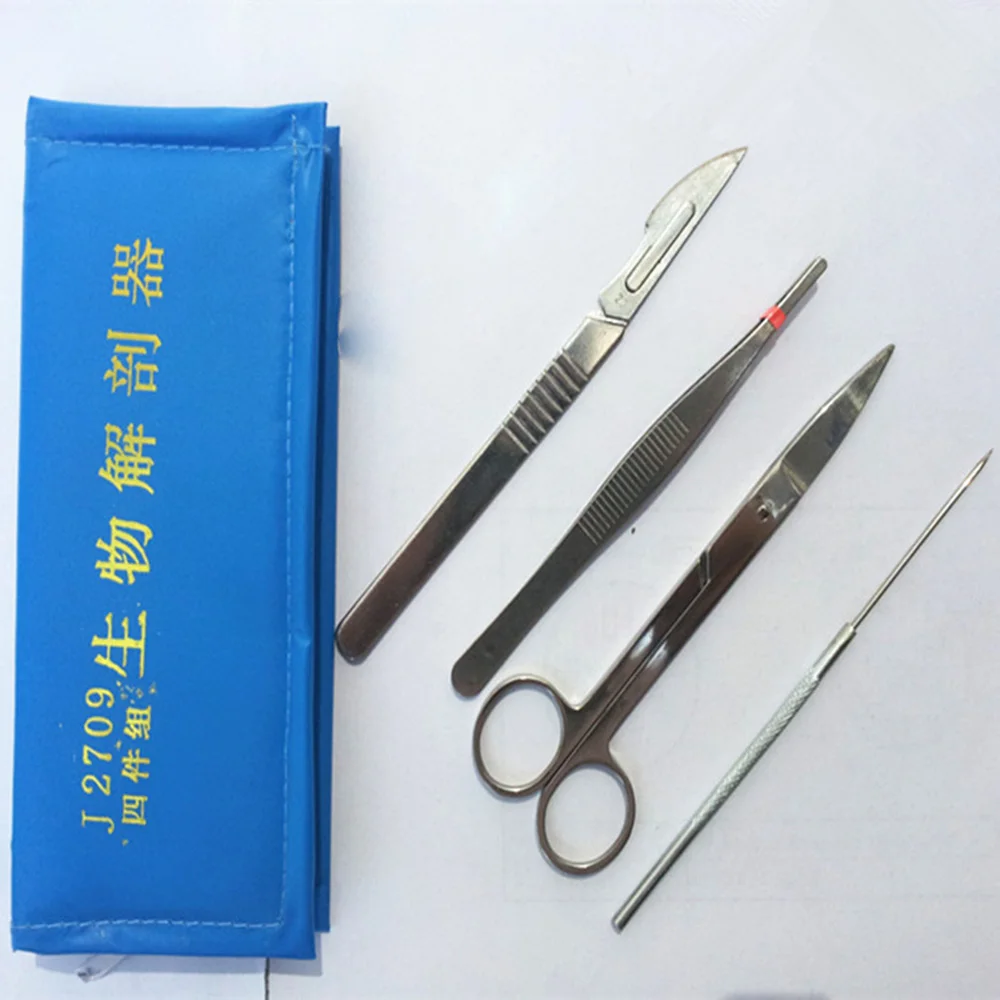 4pcs/Set Stainless Steel Dissecting Animal Dissection Kit taxidermy Set