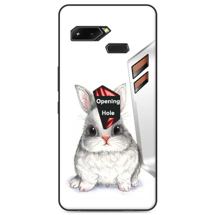 Cases For Asus ROG Phone Case TPU Soft Slim Silicon rog gaming phone Lite Cover Bumper Shockproof ZS600KL Protective Casings - Color: A20
