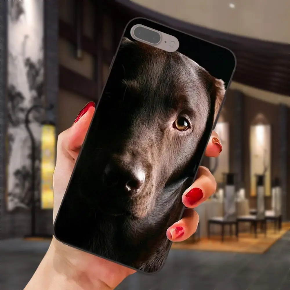 Черный чехол для телефона с рисунком щенков Лабрадора Xiaomi Mi Mix Max Note 2 2S 3 5X 6 6X 8 9 SE A1