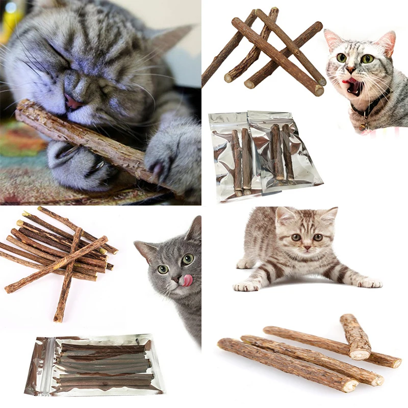 

15/20pcs Cat Cleaning Teeth Natural Catnip Pet Cat Molar Toothpaste Stick Matatabi Actinidia Fruit Silvervine Cat Snacks Sticks