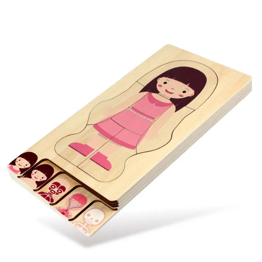 

Human Body Structure Learning Wood Board 3D Wooden Puzzle Toys Boys Girls Montessori Educational Children Toys for Children