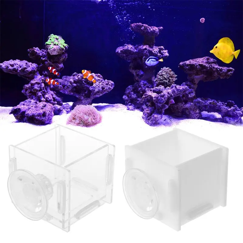 

Fish Tank Feeder Aquarium Shrimp Feeding Bowl Dish Suction Cup Food Container