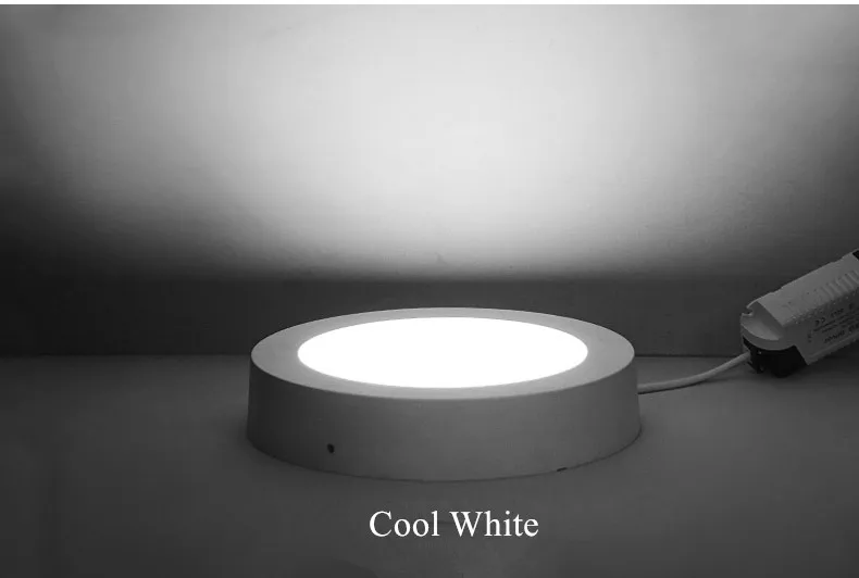 led downlight  (19)