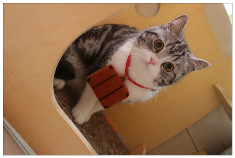 Кошка Дорожный чемодан воротник