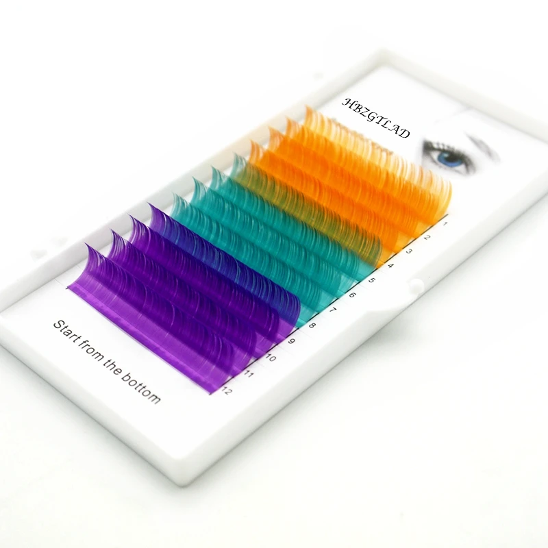 金桔天蓝紫色-1