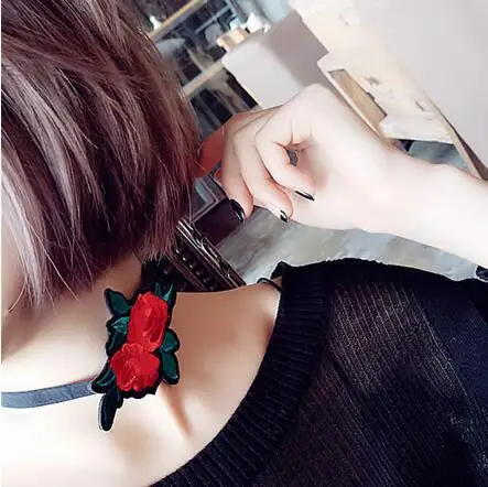 XL0231