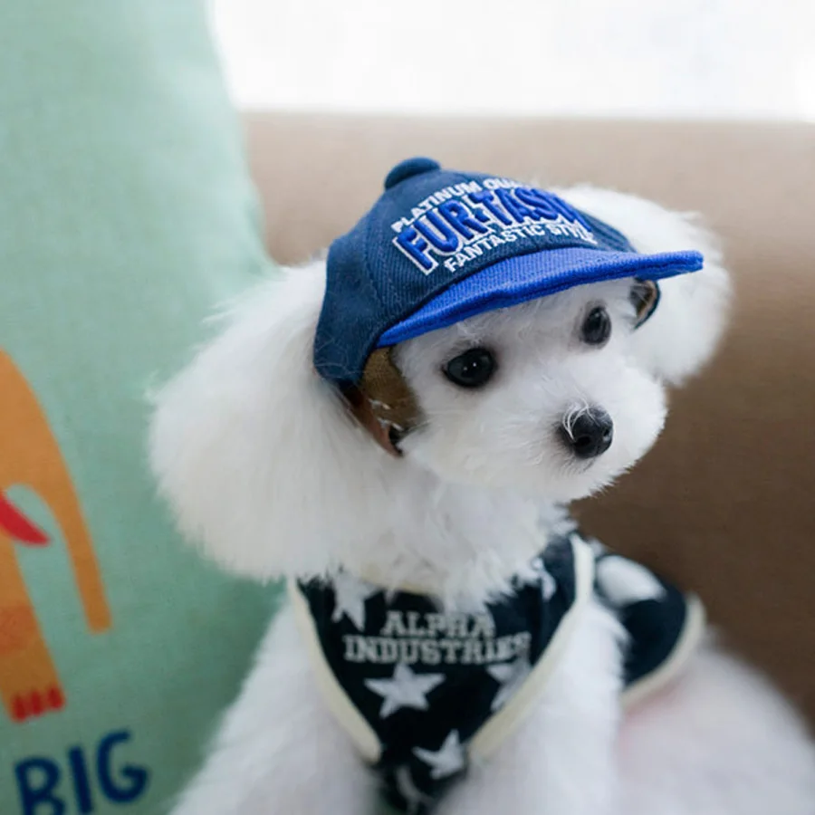 shipping dogs free shipping pet hats pet accessories beret pet cap hat teddy poodle hat hair shipping dogs free shipping pet hats pet accessories beret pet cap hat teddy poodle hat hair
