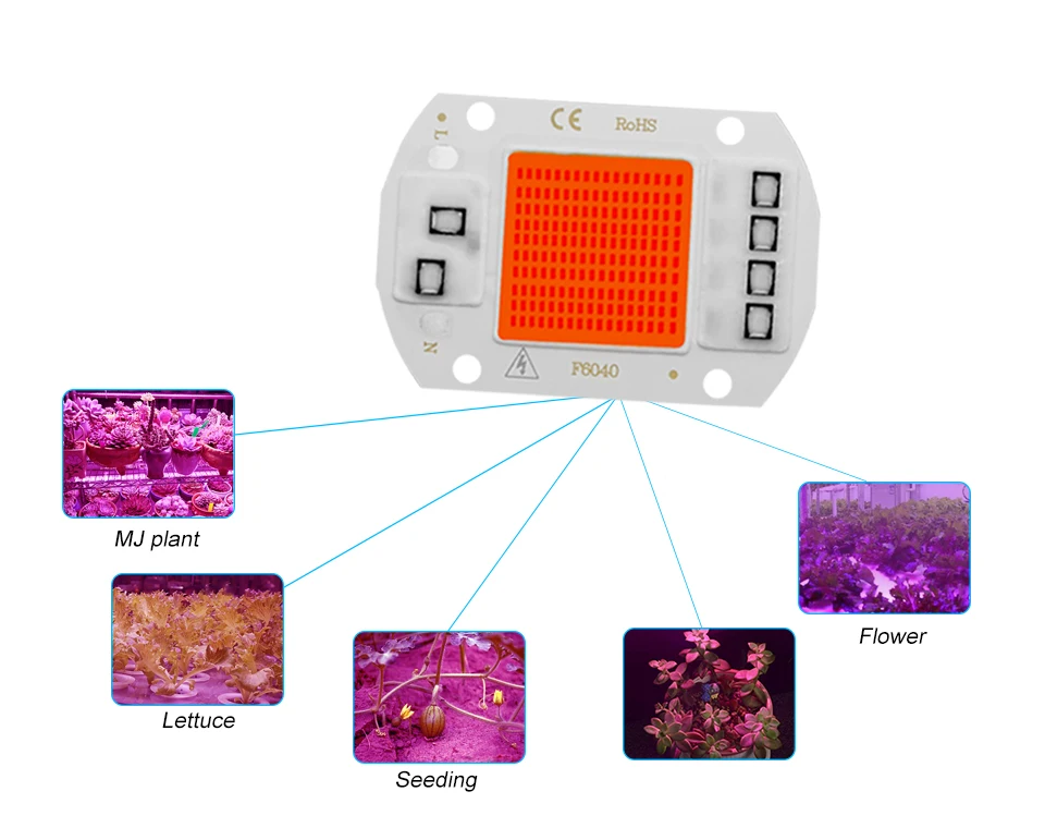 Apollo светодиодный COB чип для лампа для растений коробка полный спектр 220 В 20 Вт 30 Вт 50 Вт для внутреннего аквариума рассады и цветов роста