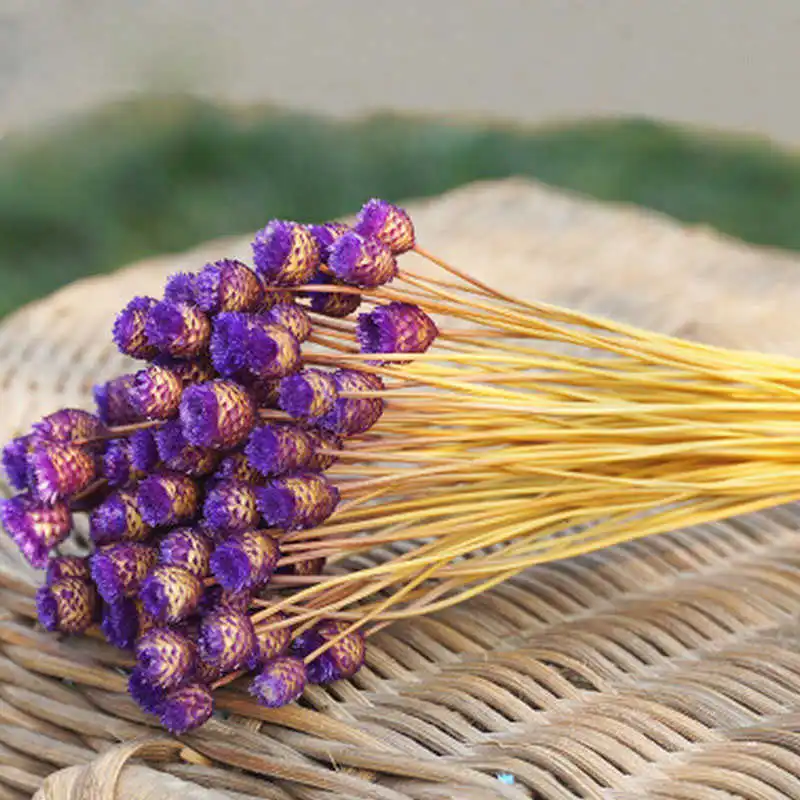 50pcs Eternal Flower Dried Flowers DIY Artificial Flowers for Family Living Room Garden Wedding Decoration Photo Props 50pcs Eternal Flower Dried Flowers DIY Artificial Flowers for Family Living Room Garden Wedding Decoration Photo Props