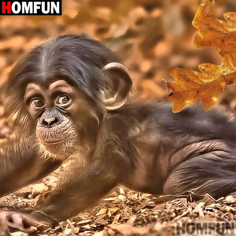 

HOMFUN Full Square/Round Drill 5D DIY Diamond Painting "Animal monkey" 3D Embroidery Cross Stitch 5D Decor Gift A16577