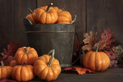 

5x7ft Halloween Props Decoration Photo Backdrops Backgrounds Pumpkin Printed studio Retro Wallpaper For Indoor studio D-2466