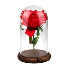 Aytai 1pc Party Holiday DIY Decorations Clear Glass Display Dome with Wooden Base Flower Photo Display Party Favors Aytai 1pc Party Holiday DIY Decorations Clear Glass Display Dome with Wooden Base Flower Photo Display Party Favors
