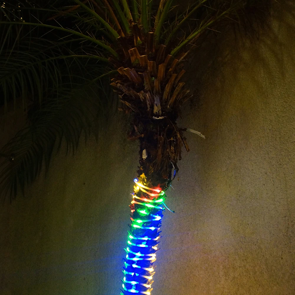 20170823_114615_008