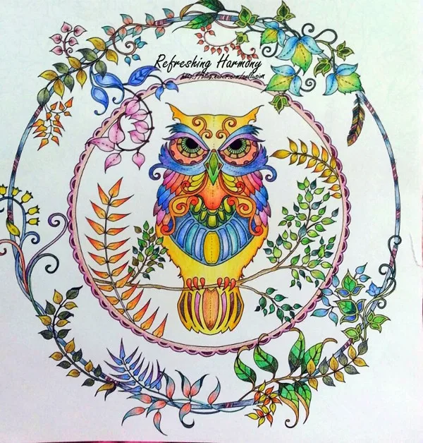 Hot Magic Forest Treasure Hunt Coloring Book For Children Adult Kill Time Graffiti Painting Secret Garden 2 In Books From Office School Supplies On