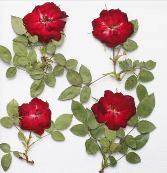 

250pcs Red Pressed Dried Rose Flower With Branch&Leaf For Epoxy Resin Pendant Necklace Jewelry Making Craft DIY Accessories