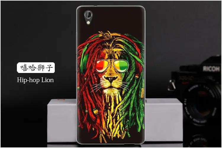  Hip-hop Lion