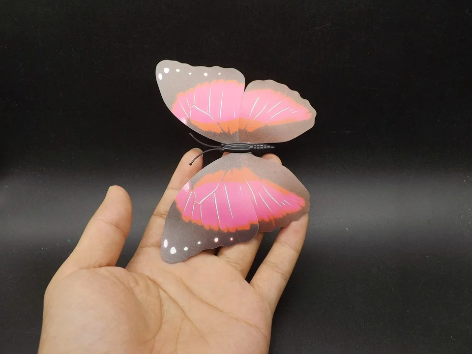 I235-Butterfly (2)