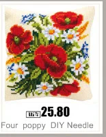 AeProduct.getSubject ()